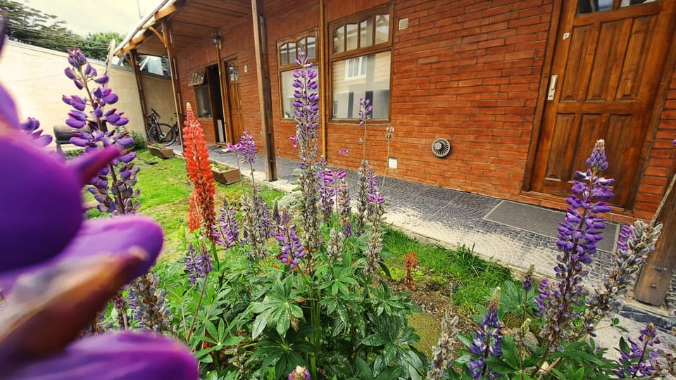 Property building, Day, Garden, Garden view