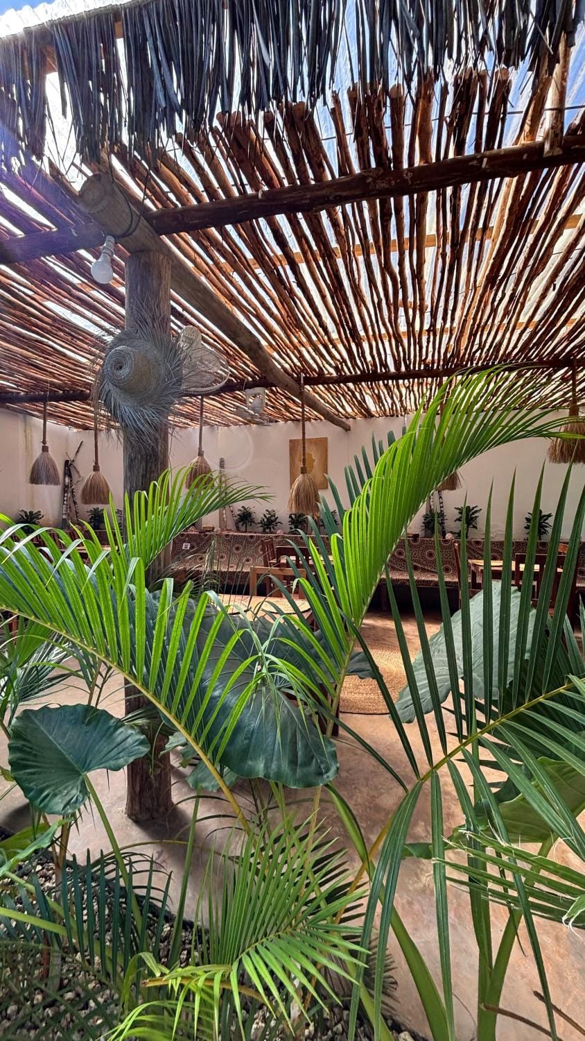 Kilimanjaro Bed and Breakfast in Nungwi
