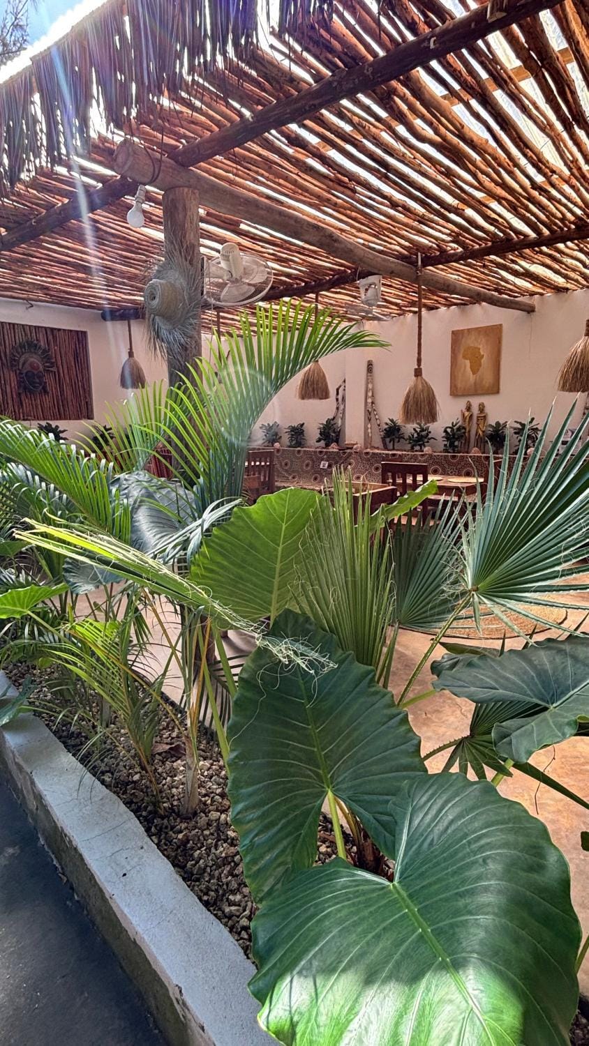 Kilimanjaro Bed and Breakfast in Nungwi