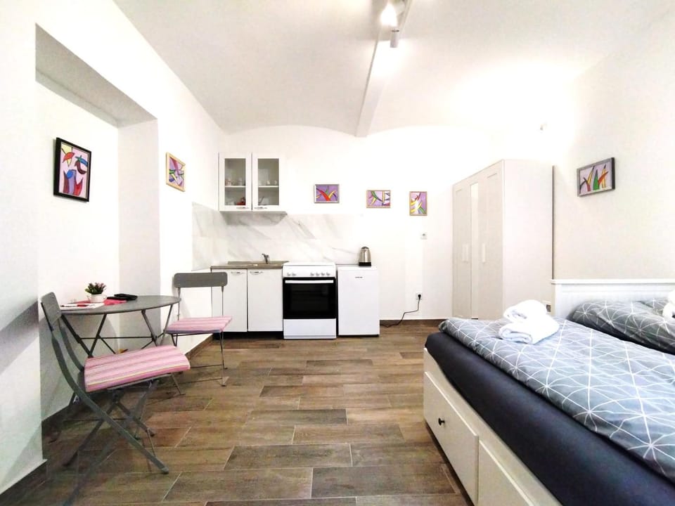 Bed, Kitchen or kitchenette, Photo of the whole room, Seating area, pet friendly, stove