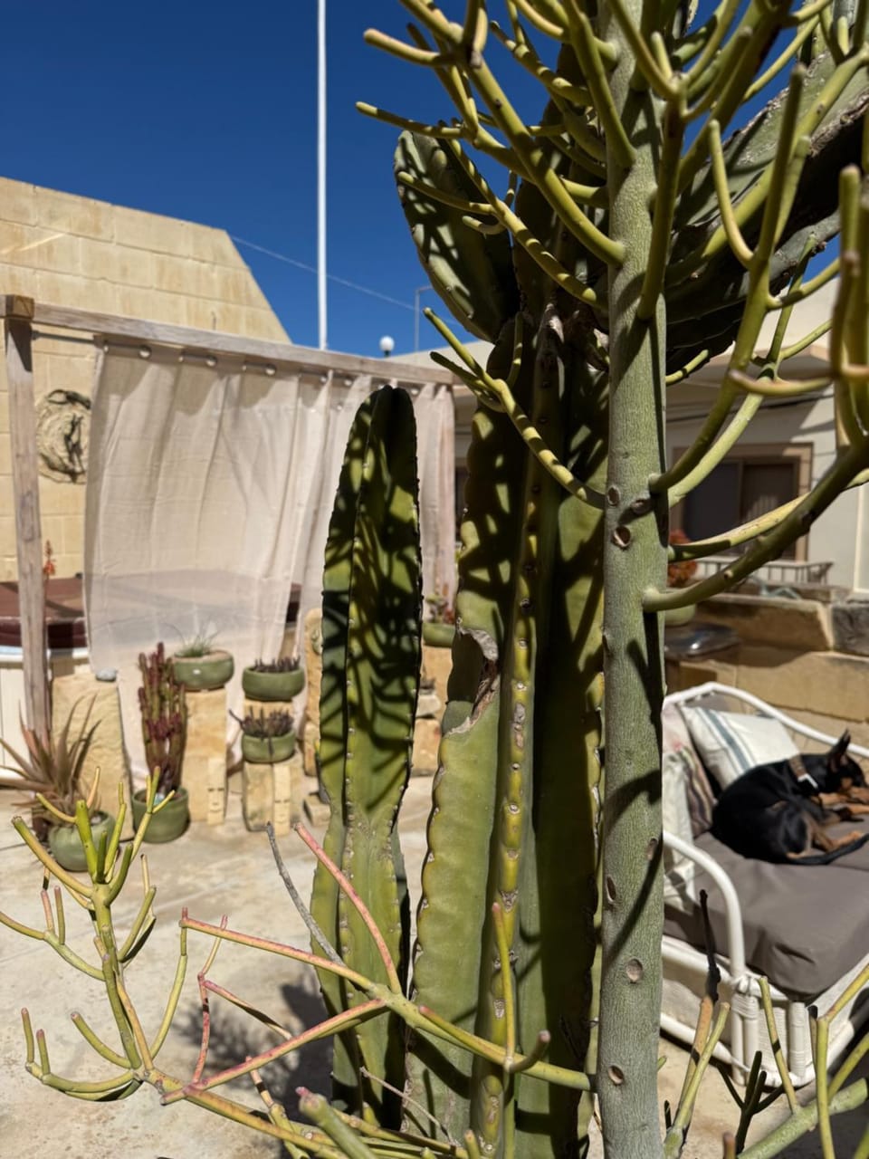 Hot Tub, Balcony/Terrace