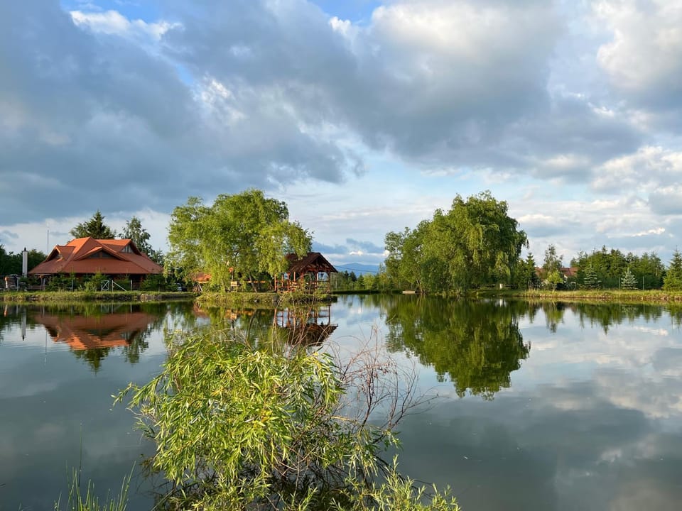 Lake view, Lake view