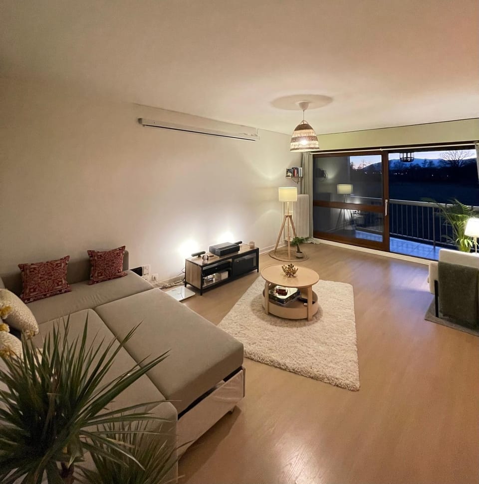 Living room, Photo of the whole room