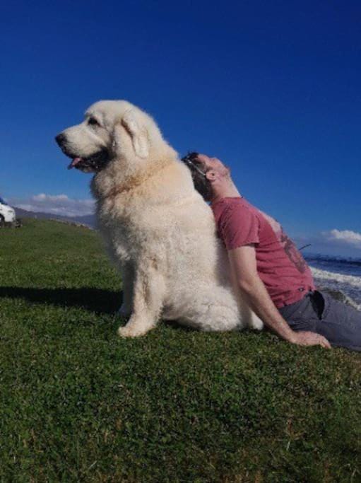 Dunes View, Cottage1, Dunnetbay accommodation House in Scotland