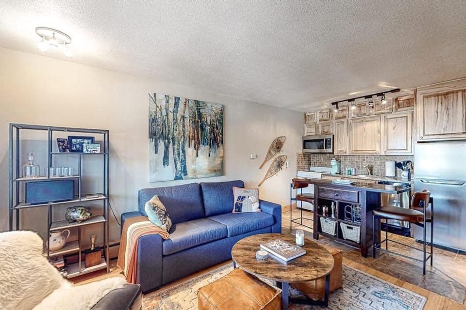 High Country Nest in Winter Park- Unit 16 Apartment in Fraser