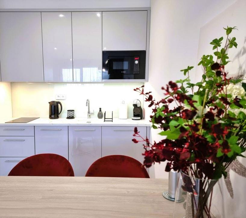 Kitchen or kitchenette, minibar, stove