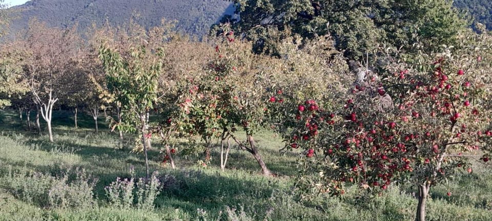 Seosko Domaćinstvo Vulević Apartment in Montenegro