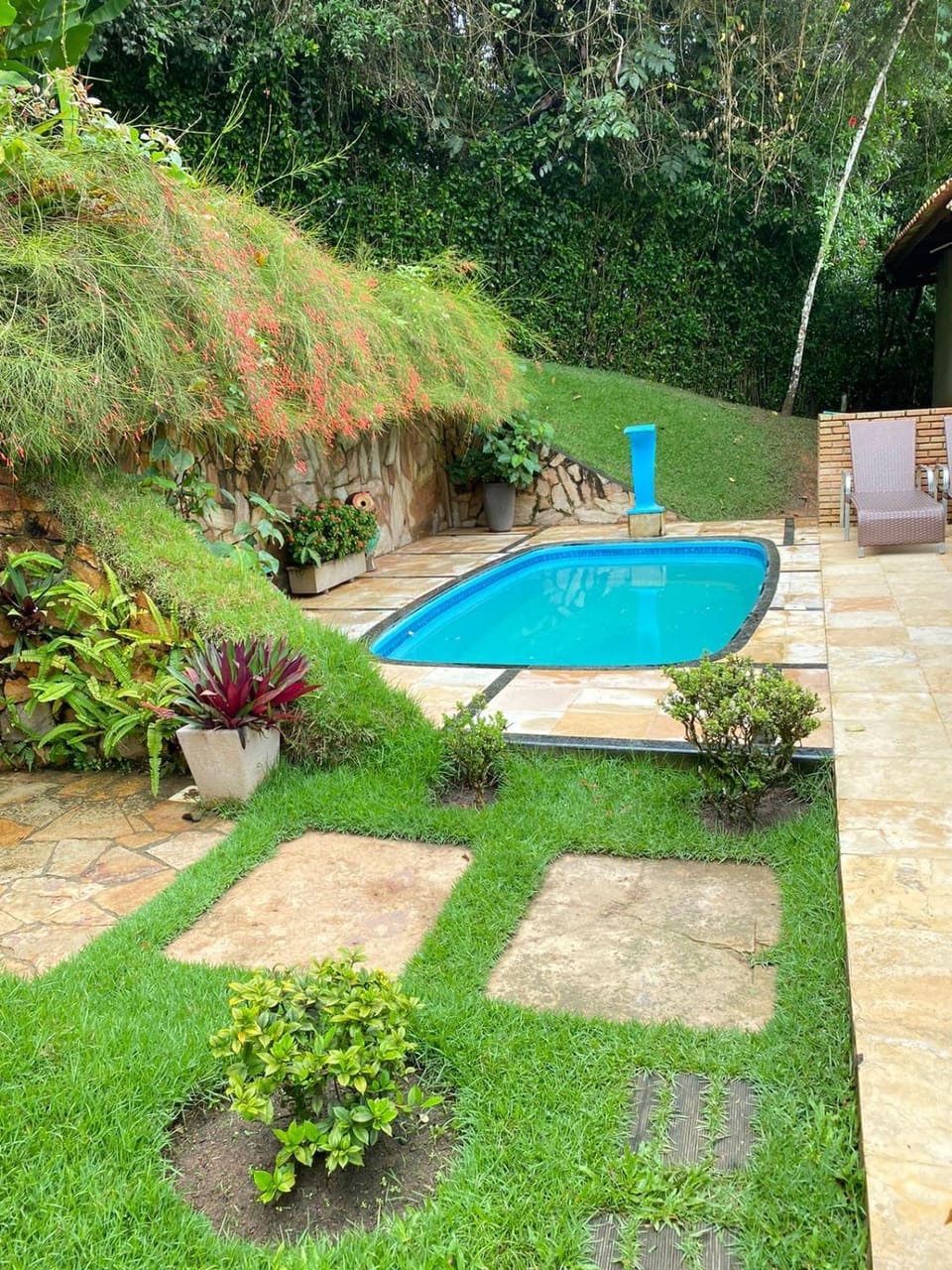 Garden view, Swimming pool, sunbed