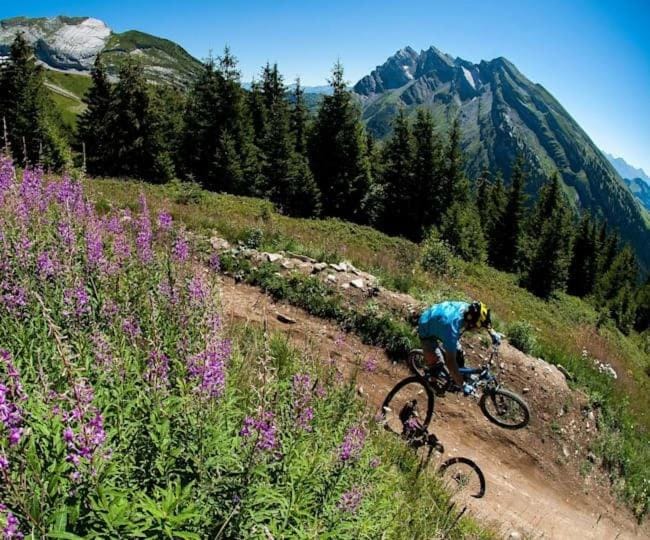 Spring, Activities, Summer, Cycling
