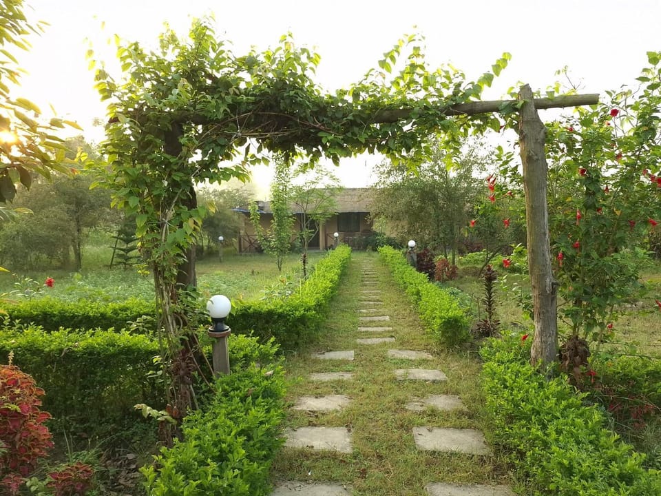 Day, Natural landscape, Garden, Garden view