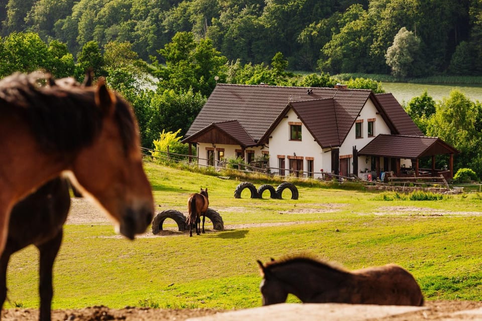 Apartamenty na Pastwisku Apartment in Pomeranian Voivodeship