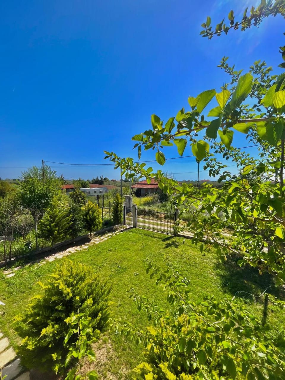 Property building, Garden, Garden view