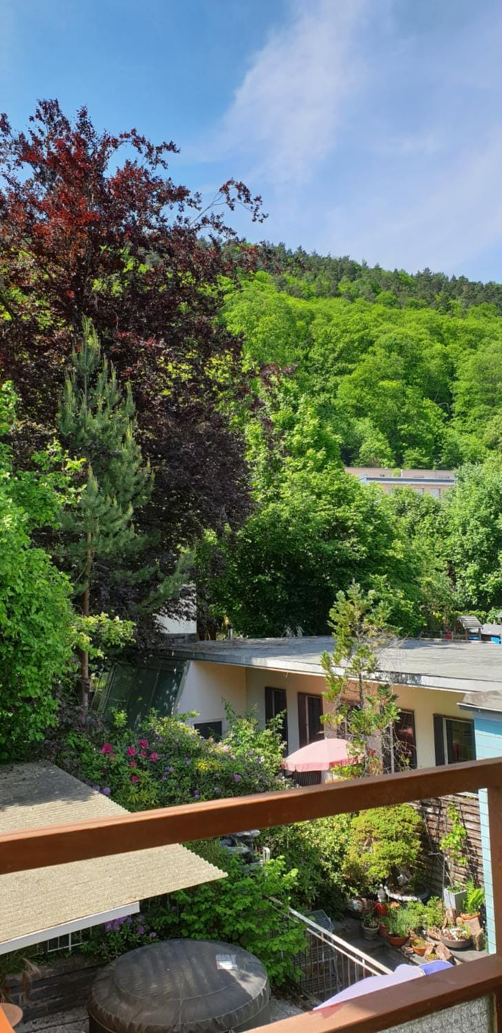 View (from property/room), Balcony/Terrace