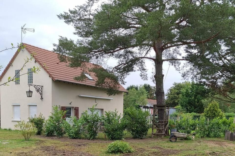 Property building, Natural landscape, Garden, Garden view