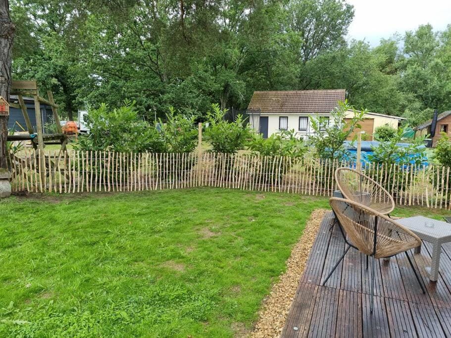Patio, Natural landscape, Garden