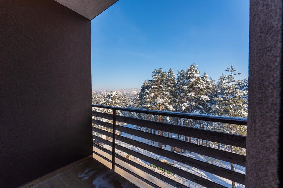 Day, Natural landscape, Winter, Balcony/Terrace, Mountain view