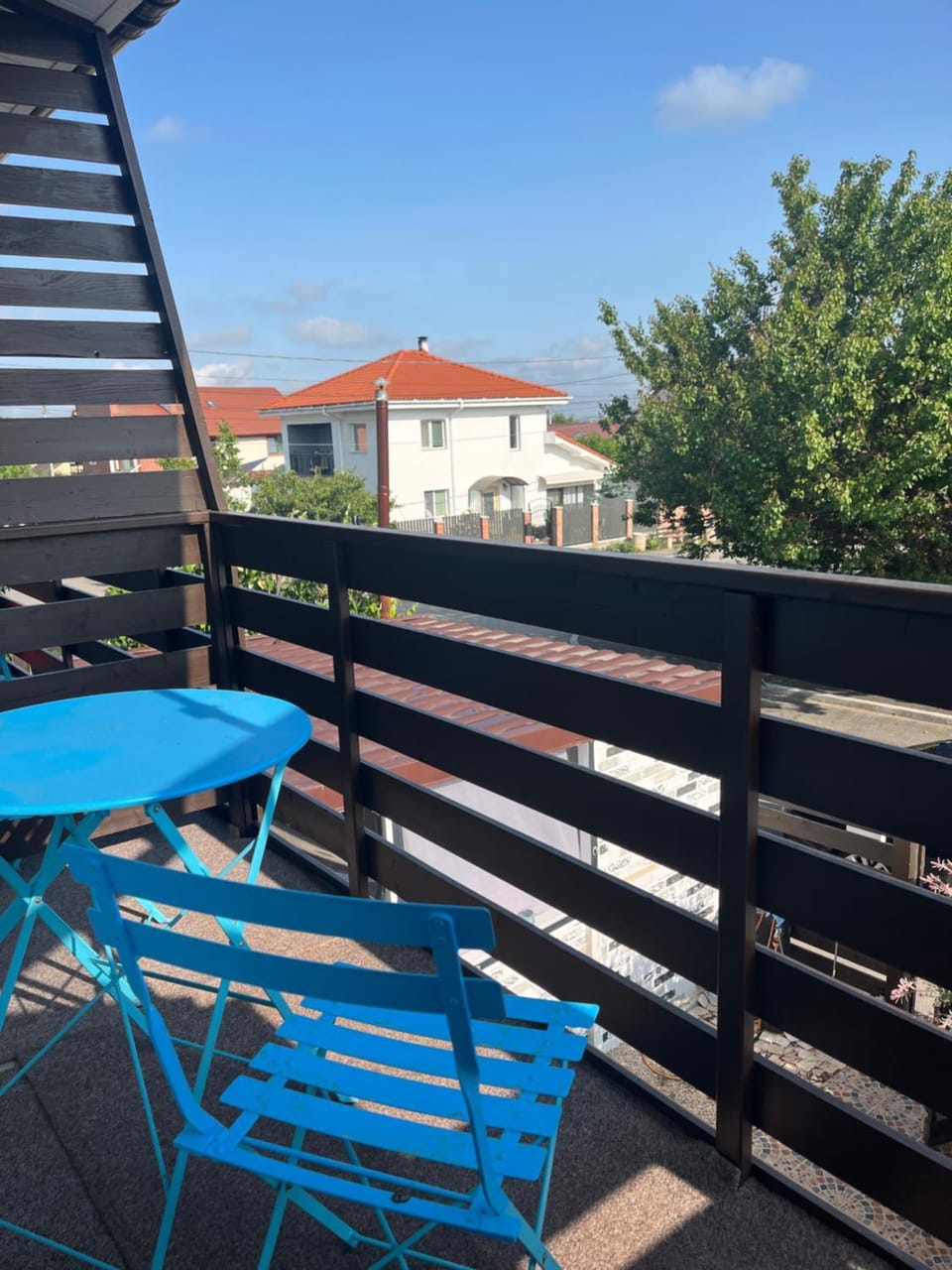 Casa Elenys Bed and Breakfast in Constanța County