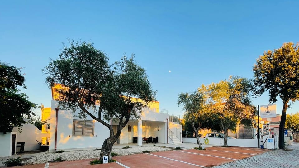 Garden, Street view
