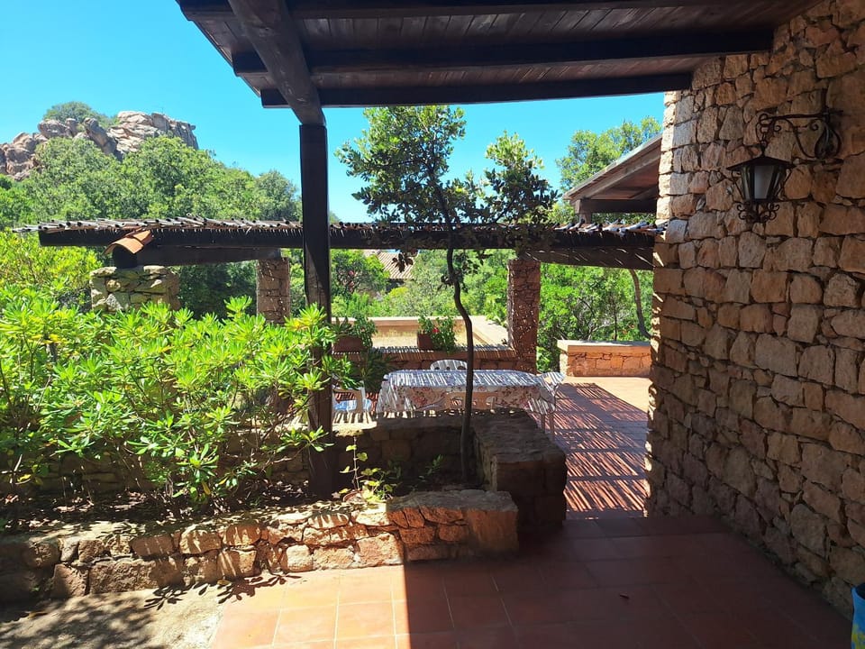 Patio, Garden, Garden view
