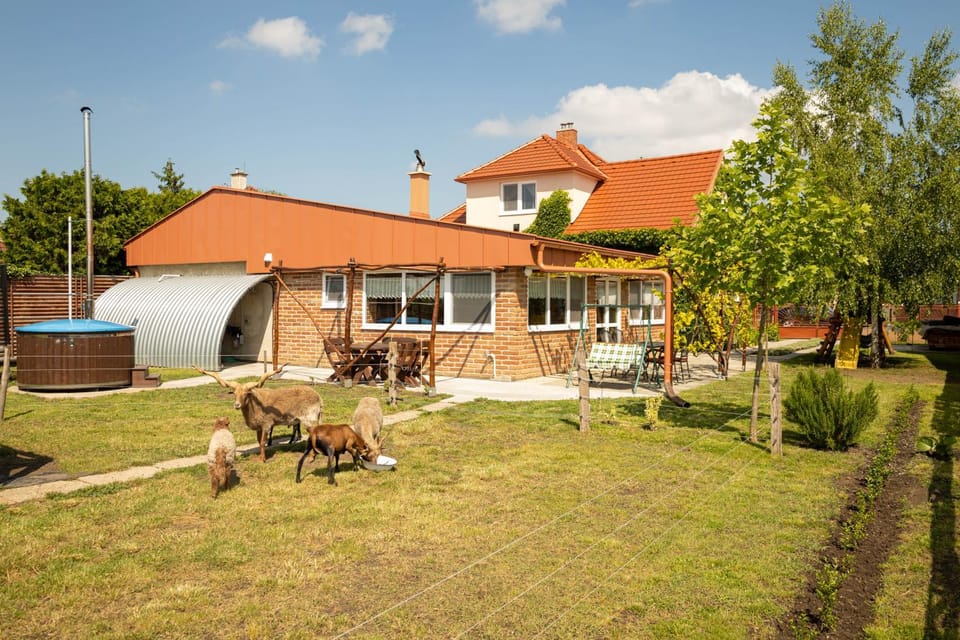 Property building, Garden, Garden