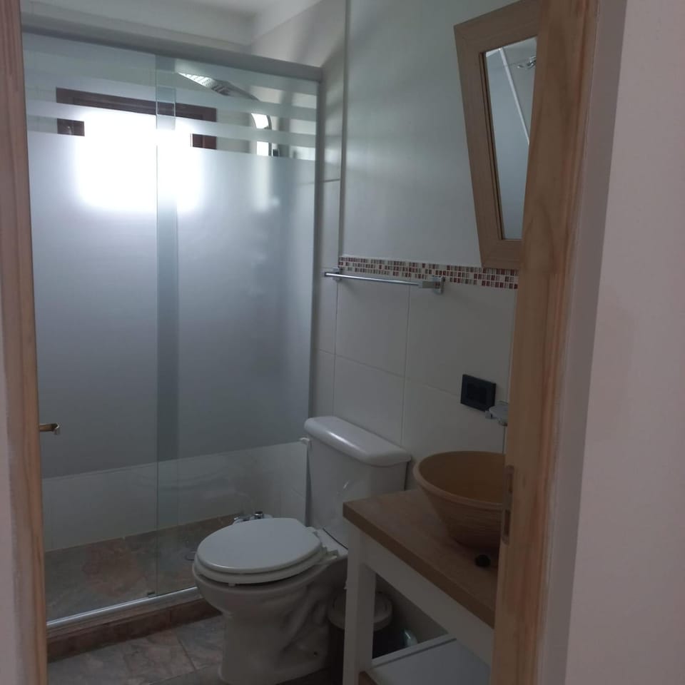 Shower, Toilet, Bathroom, bidet
