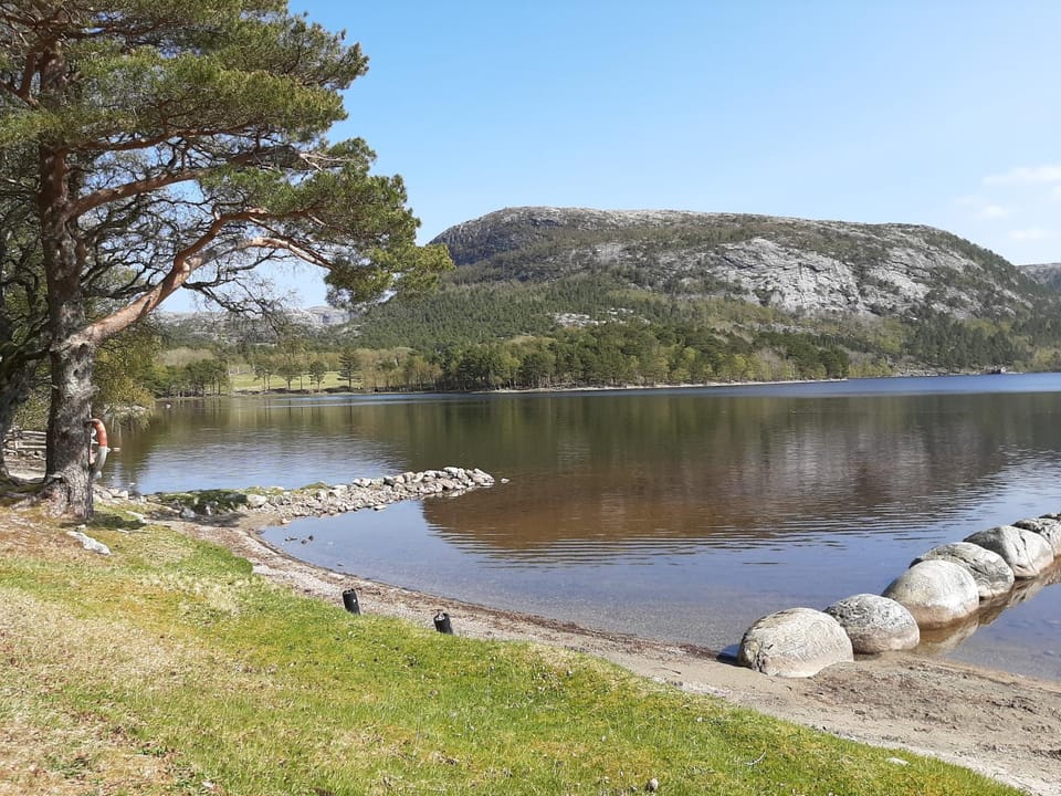 Lake view