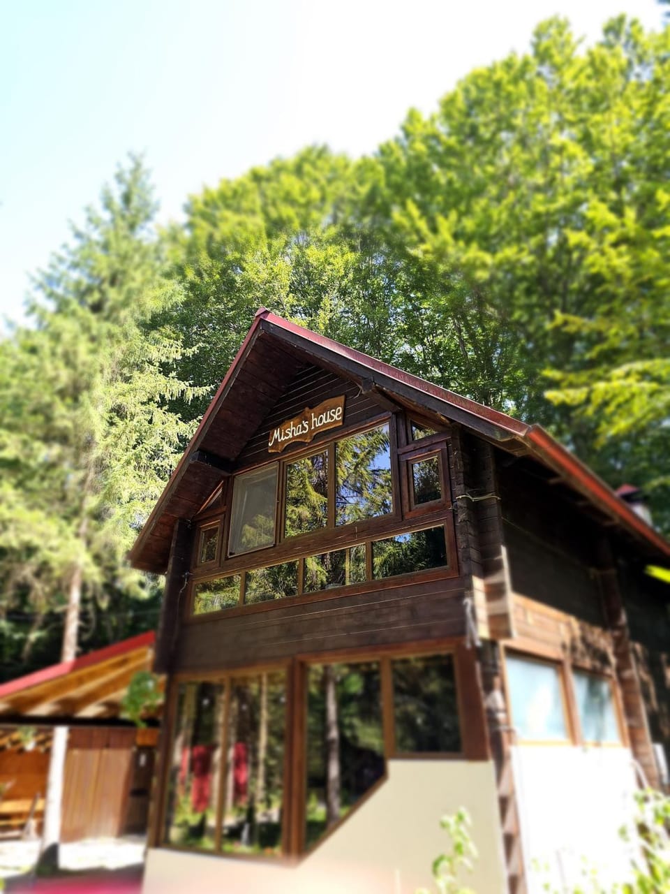 Misha's House House in Romania