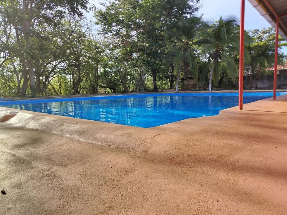 Day, Pool view, Swimming pool, Swimming pool
