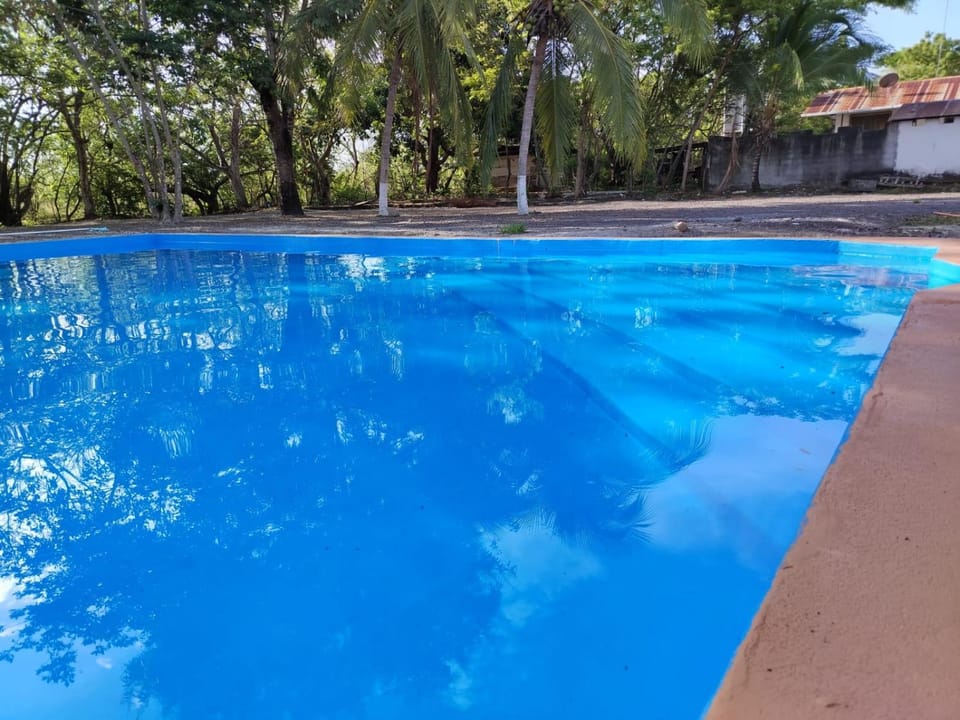 Day, Pool view, Swimming pool, Swimming pool