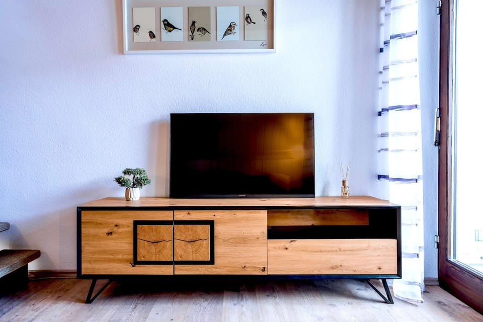 TV and multimedia