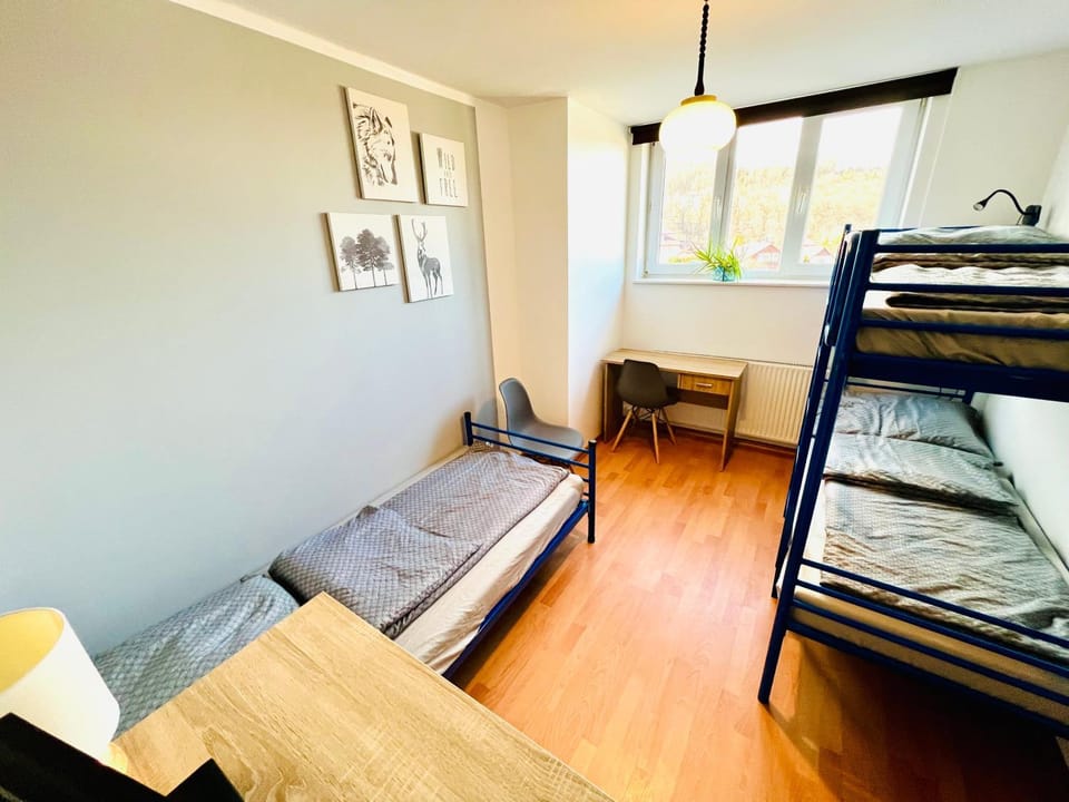 Bed, Photo of the whole room, bunk bed