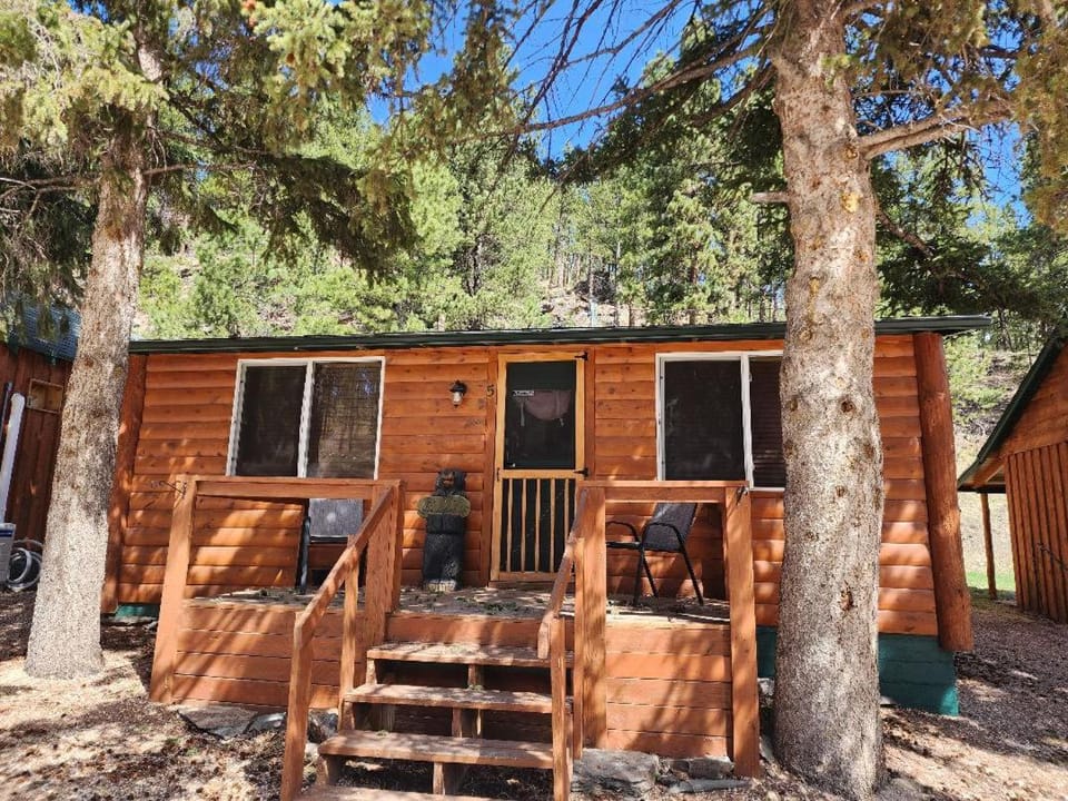 Allen Gulch Cabins Cabin in Hill City
