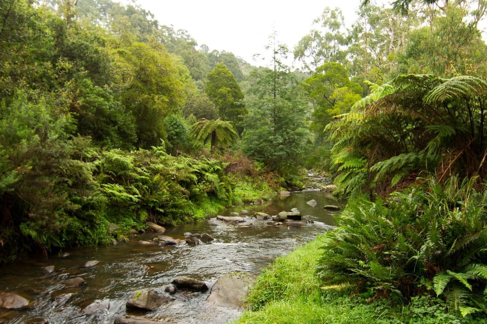Natural landscape