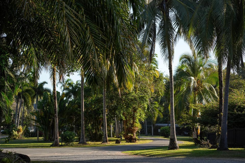 Natural landscape, Garden view