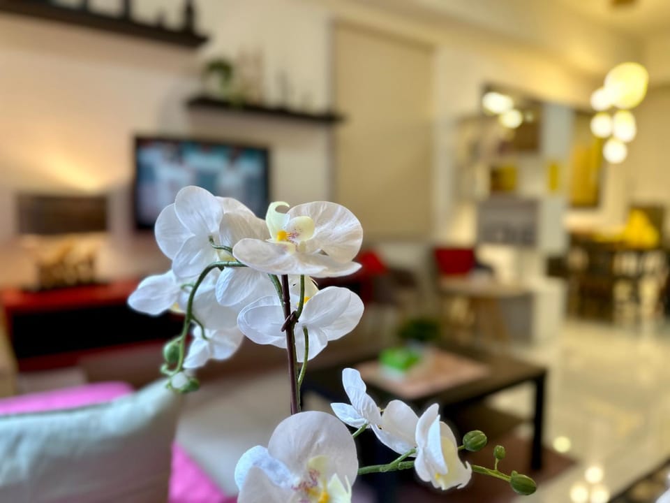 TV and multimedia, Living room, Decorative detail, Seating area