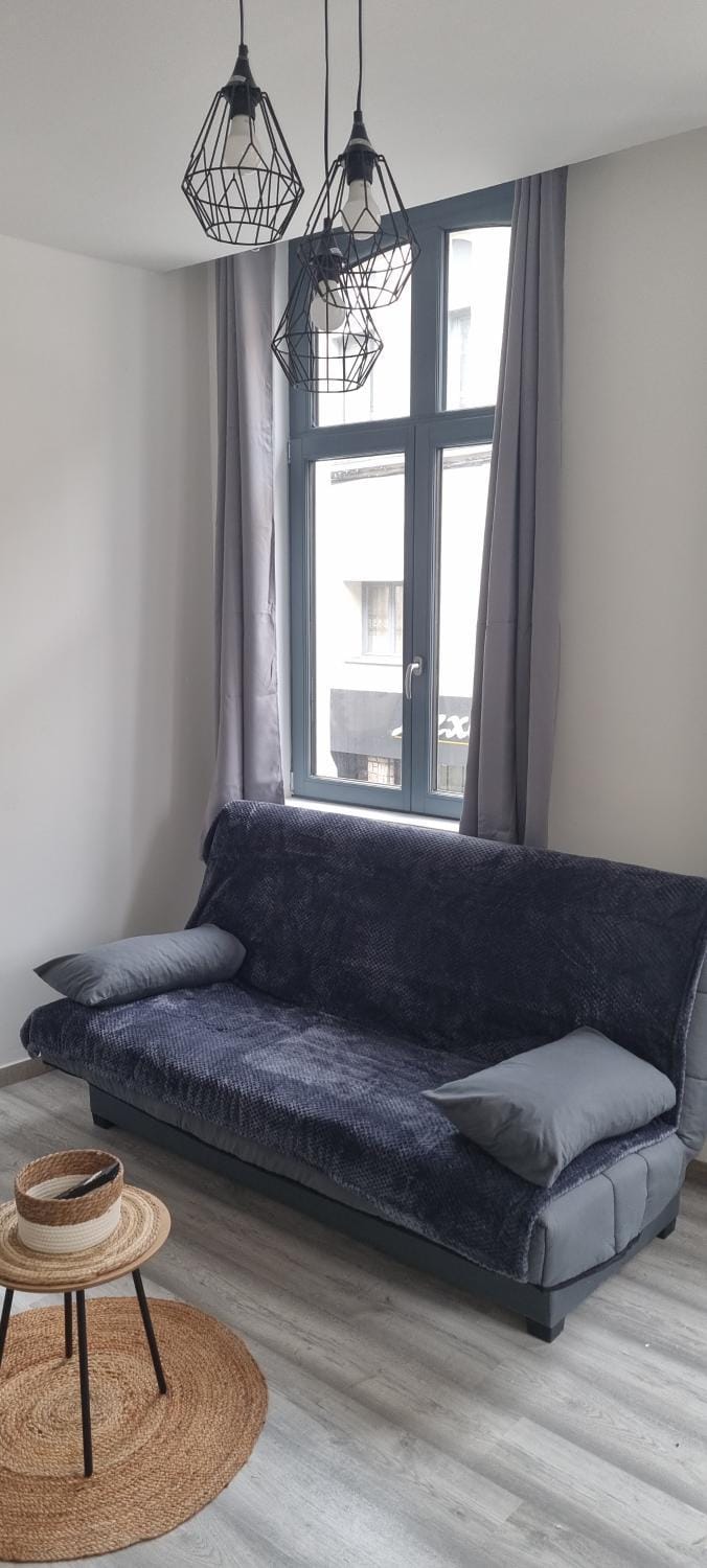 air cosy valenciennes gare activité illégales interdit Apartment in Valenciennes