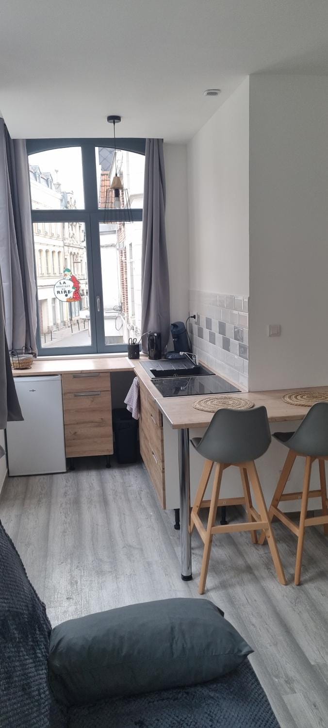 air cosy valenciennes gare activité illégales interdit Apartment in Valenciennes