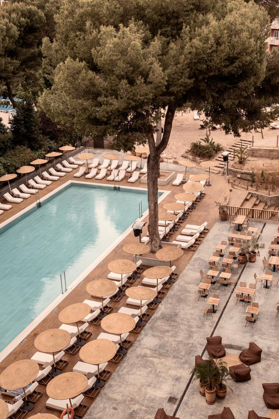 Patio, Restaurant/places to eat, Lounge or bar, Area and facilities, Swimming pool