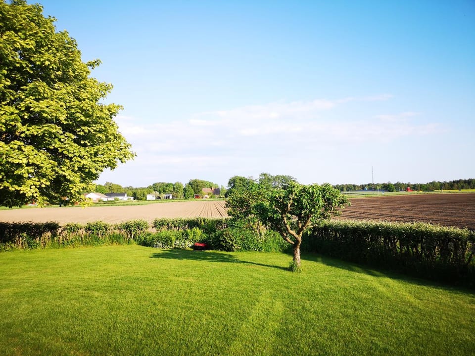 Natural landscape