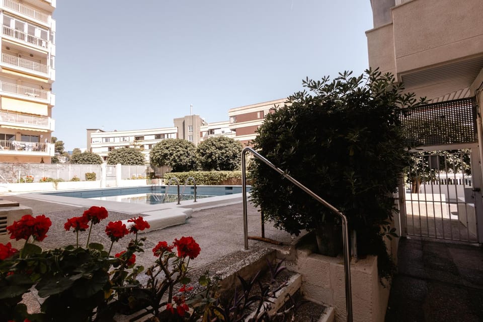 Pool view, Swimming pool