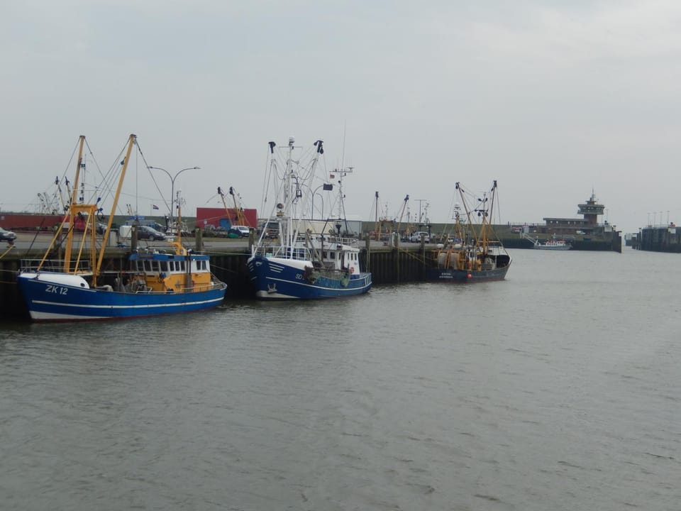 Katharina Apartment in Schleswig-Holstein