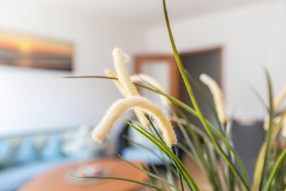 Katharina Apartment in Schleswig-Holstein