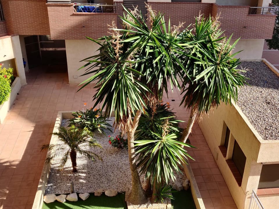 Garden view