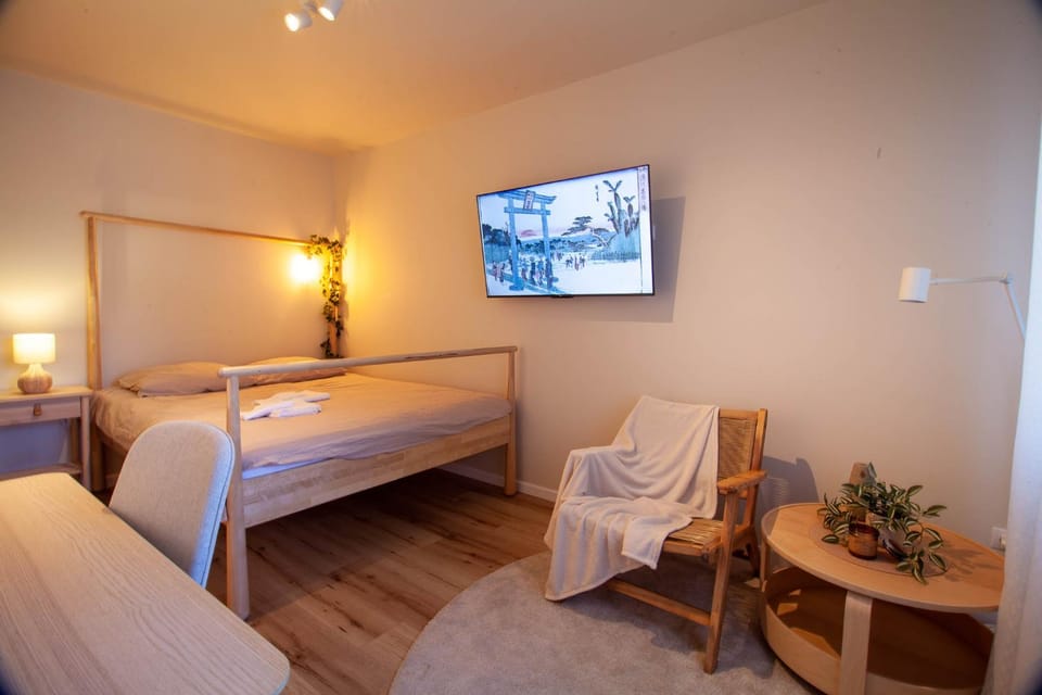 Bed, TV and multimedia, hair dresser