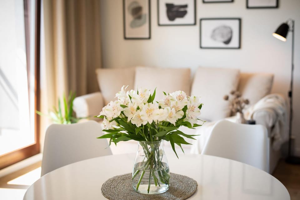 Living room, Photo of the whole room, Seating area