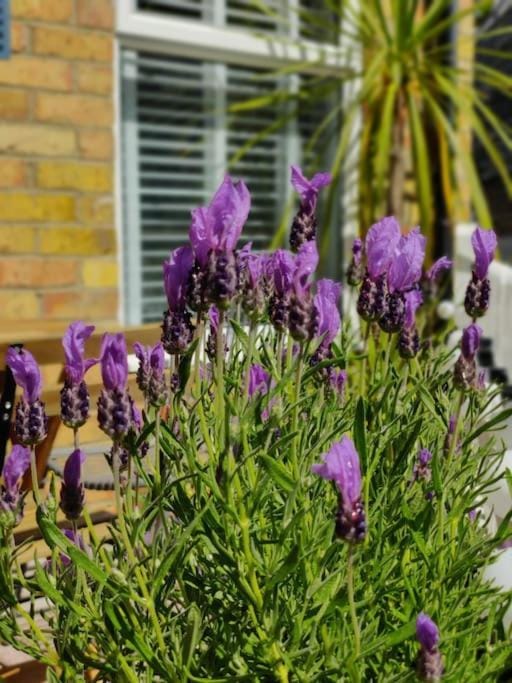 May Cottage - Heart of Vibrant Village & 10 mins Walk to Beach Apartment in Milford on Sea