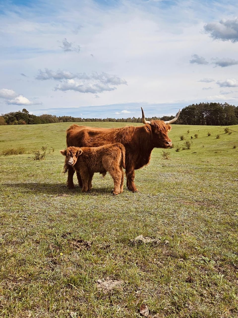 Krovacja - całoroczne domki w Puszczy Noteckiej House in West Pomeranian Voivodeship, Poland