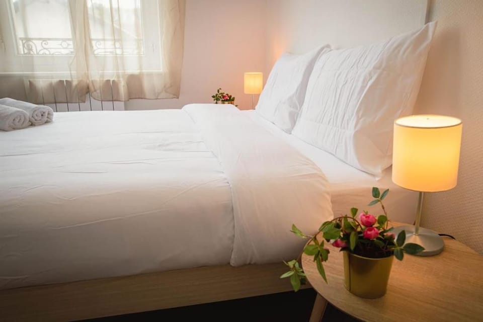 A1G Nancy Thermal Artem chambre Apartment in Nancy