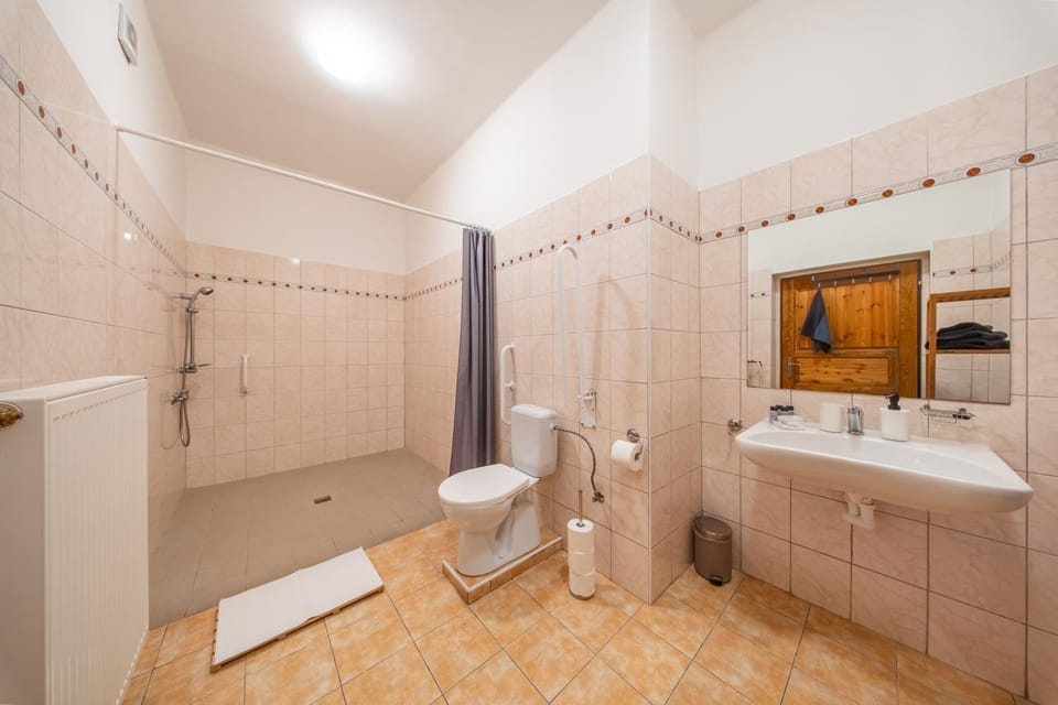 Shower, Toilet, Bathroom, Facility for disabled guests, towels, acessibility