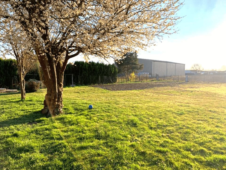 Garden, Garden view